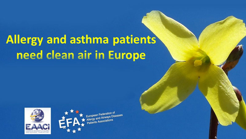 Policy Meeting - Allergy and Asthma Patients need Clean Air in Europe – 1 July 2015 icon